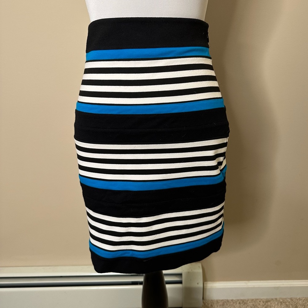Express Skirt